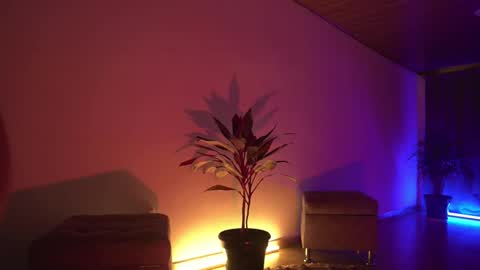 Nefertari online show from March 7, 11:28 am