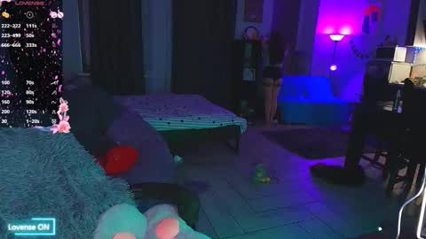 Kitty Nikki online show from November 20, 5:03 pm