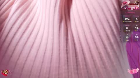 Nicolle Miley online show from February 13, 4:58 am