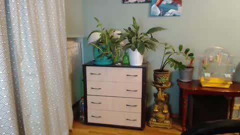 Nika online show from December 2, 4:20 pm