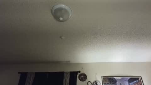 Nikki Mastersgirl1091 online show from February 26, 1:22 pm