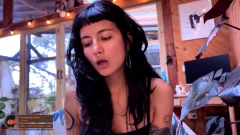 Nina.  online show from February 20, 9:04 pm