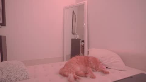 Snapshot of onelittlemermaid chatting on October 18, 9:27 pm Ariel online show from October 18, 9:27 pm