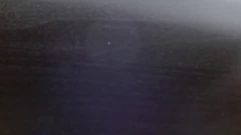 paulina online show from January 9, 2:40 pm