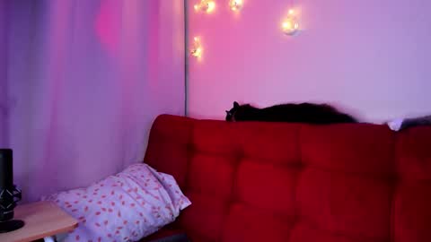 diana fansly petitemuse online show from November 12, 8:51 pm