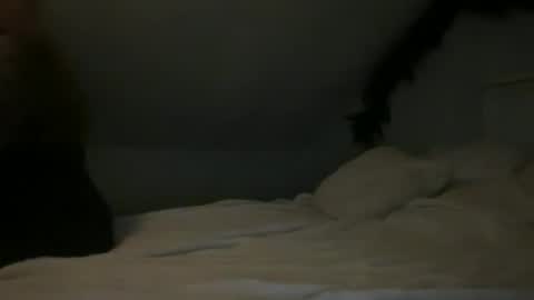 pirdybirdyxo online show from October 4, 11:53 pm