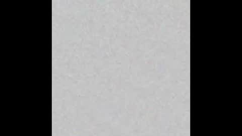 Polly online show from October 16, 7:55 am