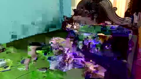 porimoni22 online show from January 10, 9:14 am