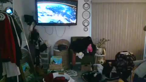 Lizzie online show from November 11, 11:57 pm