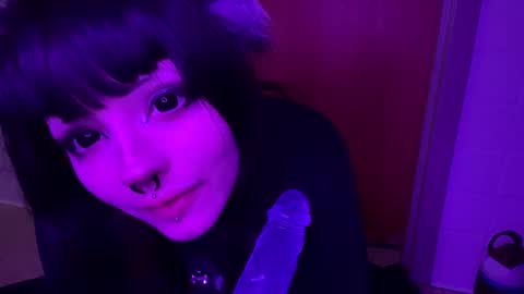 pupcoraa online show from December 15, 12:27 am