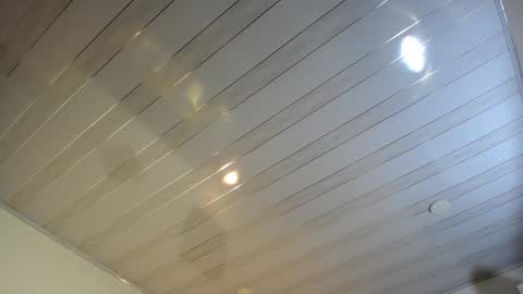 Rose online show from December 19, 12:23 pm