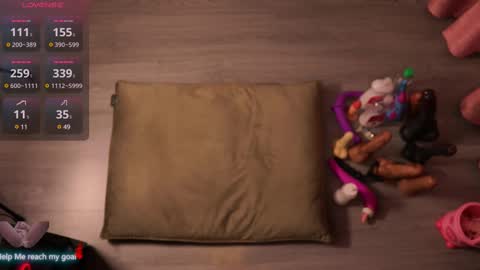 Redhead Shark online show from February 9, 3:12 pm