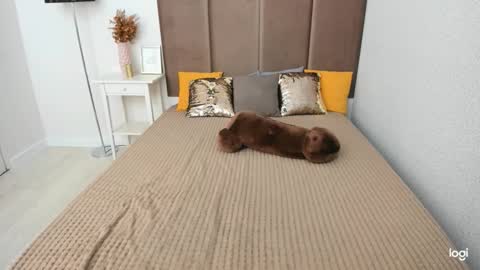 Snapshot of robertamorelly chatting on October 7, 6:18 am Betty online show from October 7, 6:18 am