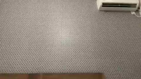 rockybee1 online show from December 16, 12:27 am