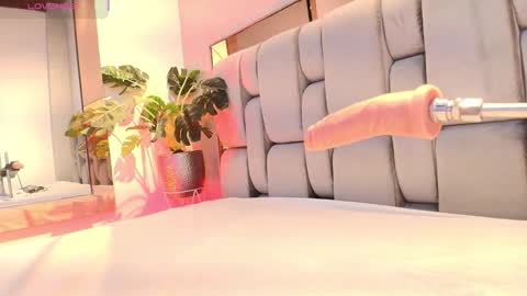 Rose online show from February 5, 5:21 am