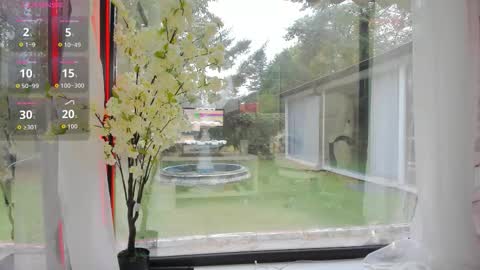 Ava online show from September 26, 6:00 am