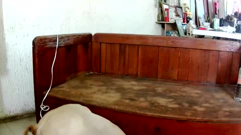 ruby  chocoholic cakeholic coffeeholic cookieholic online show from March 9, 7:28 pm