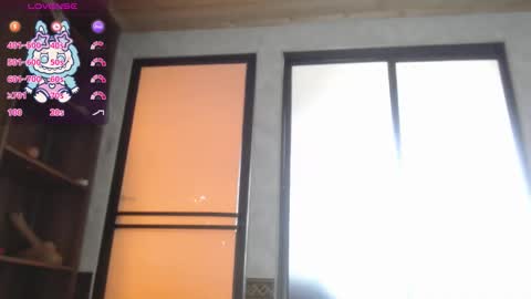  salloy  online show from November 19, 2:50 pm