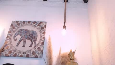 Sammy  online show from February 22, 6:47 am