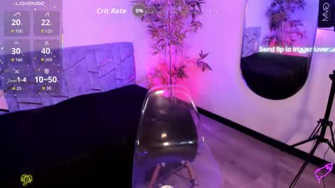 Sammy  online show from February 5, 3:20 am