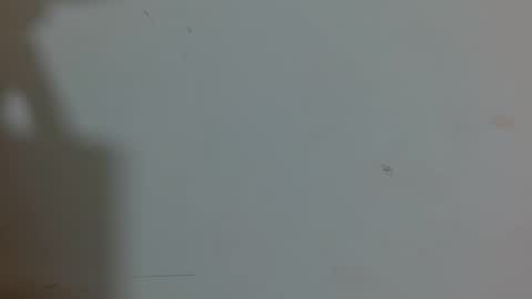 sara961991 online show from May 22, 8:51 pm
