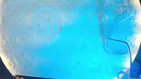 saraaguzman online show from September 23, 8:07 pm