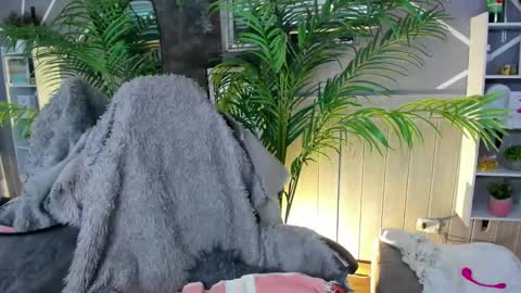 sofia gomez420 online show from December 31, 9:42 am