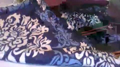 sarah_haggai online show from October 14, 7:55 am