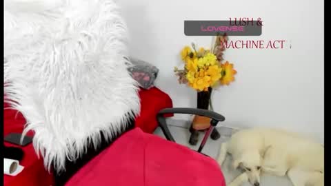 Sarah online show from May 13, 7:41 pm