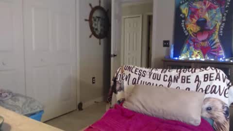 Trish online show from November 27, 2:14 am