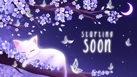 Snapshot of sassykittyn chatting on January 17, 6:15 am Sassy Sami Kittyn online show from January 17, 6:15 am