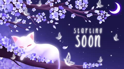 Snapshot of sassykittyn chatting on January 7, 6:16 am Sassy Sami Kittyn online show from January 7, 6:16 am