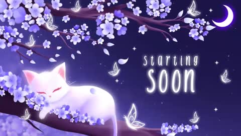 Snapshot of sassykittyn chatting on March 10, 5:11 am Sassy Sami Kittyn online show from March 10, 5:11 am