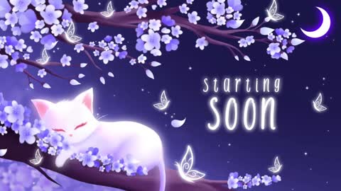 Snapshot of sassykittyn chatting on January 20, 6:21 am Sassy Sami Kittyn online show from January 20, 6:21 am