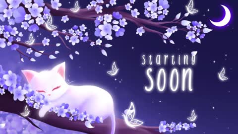 Snapshot of sassykittyn chatting on January 3, 6:11 am Sassy Sami Kittyn online show from January 3, 6:11 am