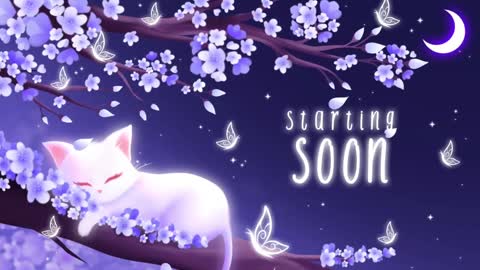 Snapshot of sassykittyn chatting on December 16, 6:10 am Sassy Sami Kittyn online show from December 16, 6:10 am