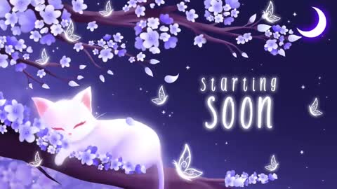 Snapshot of sassykittyn chatting on February 17, 5:47 am Sassy Sami Kittyn online show from February 17, 5:47 am