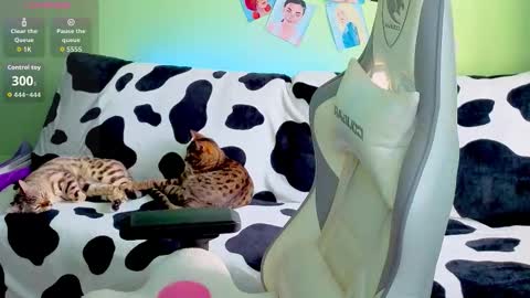 Ariel online show from October 13, 2:36 am