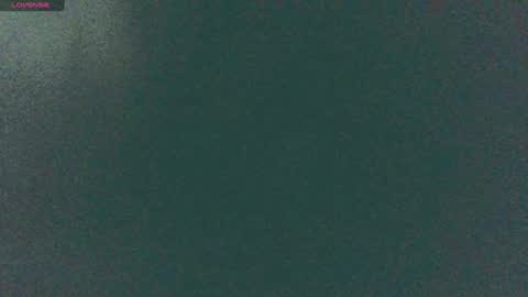 Sunny online show from December 14, 8:56 am