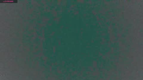 Sunny online show from December 2, 1:45 pm