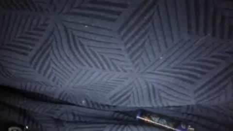 Sunny online show from February 20, 3:02 pm