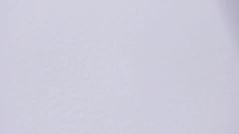 selenne_rouse online show from April 27, 12:19 am