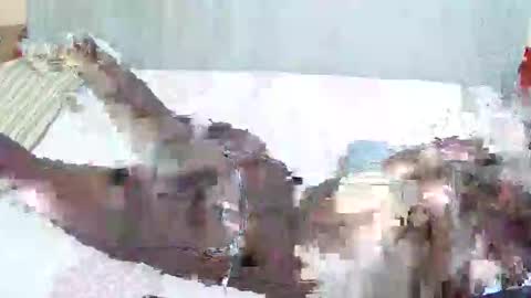 sexxy_breeya online show from February 15, 8:11 am