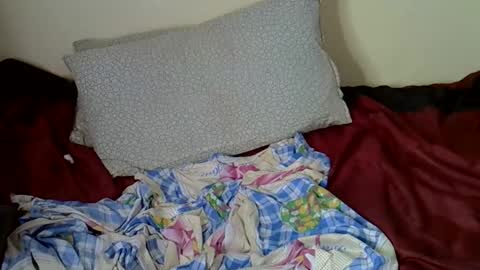 Sexxyterrys online show from November 30, 2:27 am