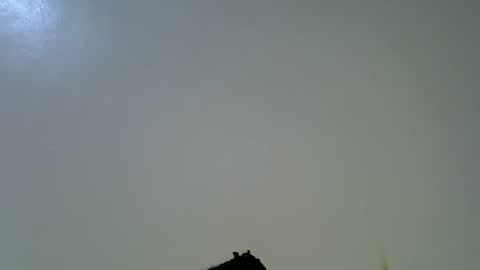 sexy_alia1 online show from February 7, 9:51 pm