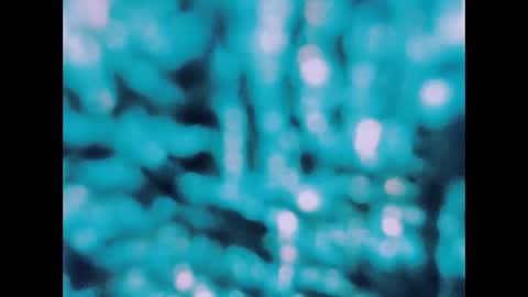 sexy_indian0009 online show from November 25, 11:05 pm