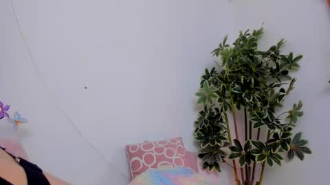 Shego  online show from September 24, 9:58 pm