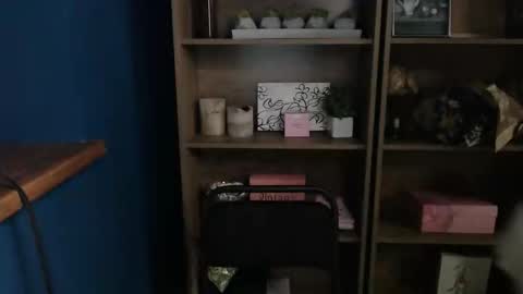 shy_lil online show from December 17, 1:04 pm