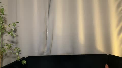 Amelia online show from February 2, 7:14 pm