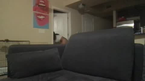 Snapshot of sierralovley chatting on December 6, 3:19 am SierraLovelyxx online show from December 6, 3:19 am